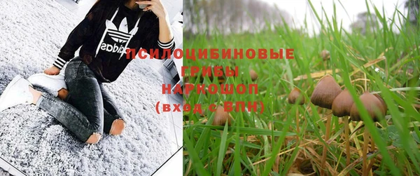 дживик Медногорск
