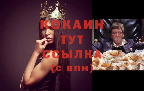 трава Медвежьегорск